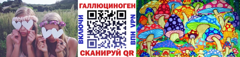 omg зеркало Петропавловск-Камчатский Галлюциногенные грибы прущие грибы где купить наркоту